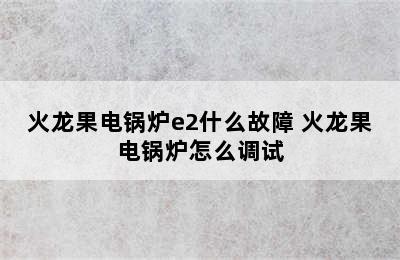 火龙果电锅炉e2什么故障 火龙果电锅炉怎么调试